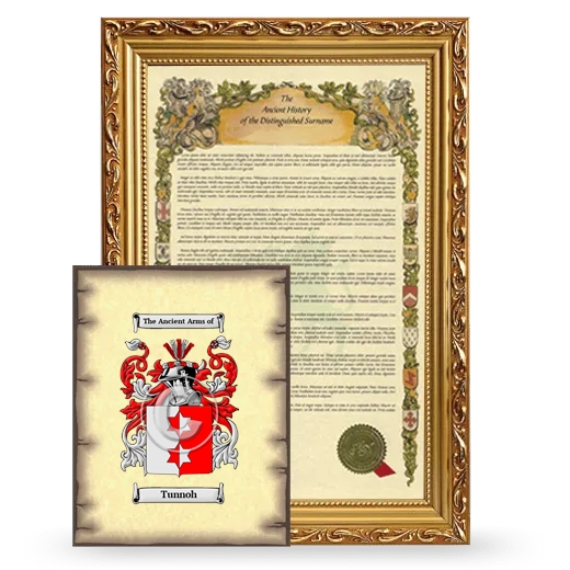 Tunnoh Framed History and Coat of Arms Print - Gold