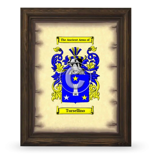 Tursellino Coat of Arms Framed - Brown