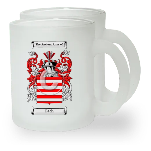 Fach Pair of Frosted Glass Mugs