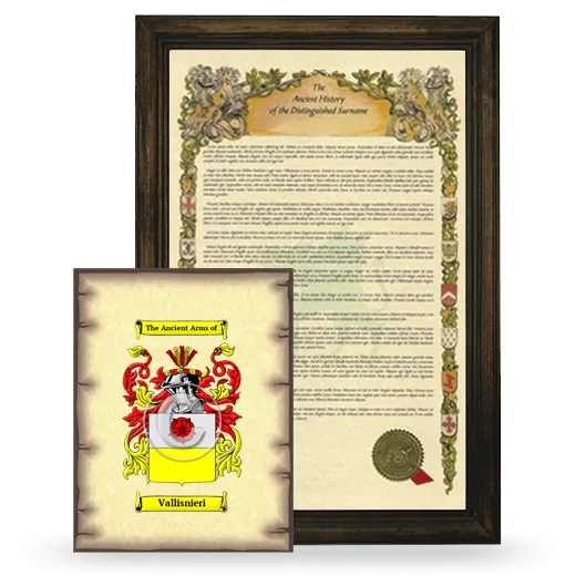 Vallisnieri Framed History and Coat of Arms Print - Brown