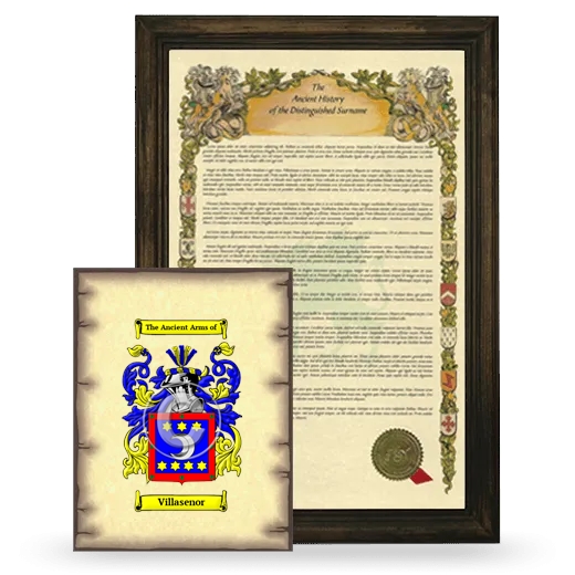 Villasenor Framed History and Coat of Arms Print - Brown