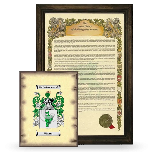 Vining Framed History and Coat of Arms Print - Brown