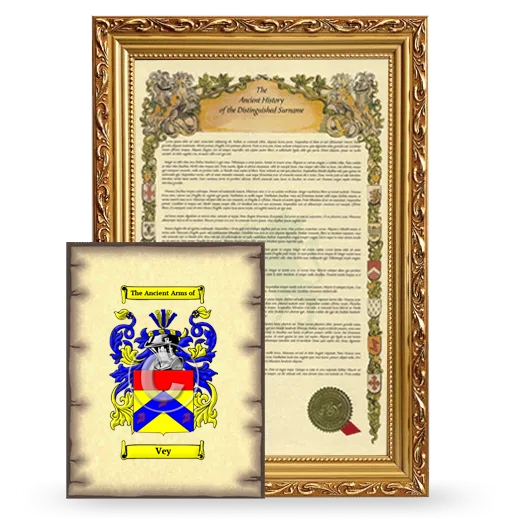 Vey Framed History and Coat of Arms Print - Gold