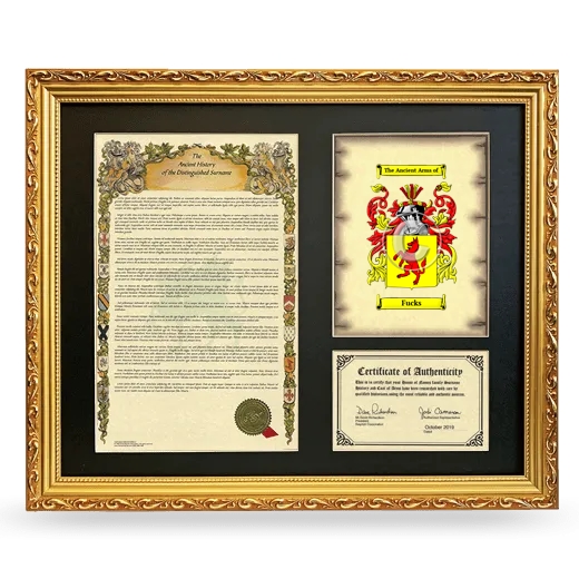 Fucks Framed Surname History and Coat of Arms- Gold