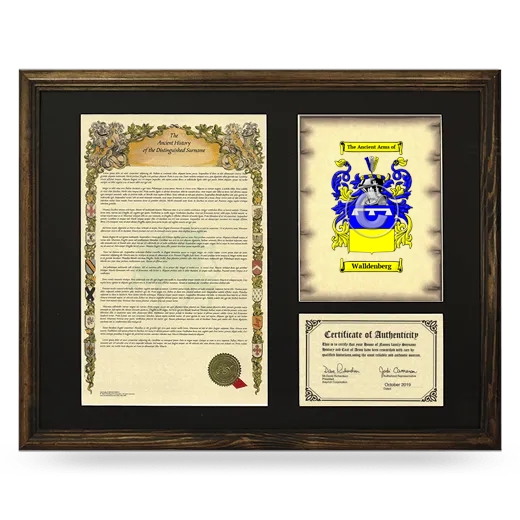 Walldenberg Framed Surname History and Coat of Arms - Brown