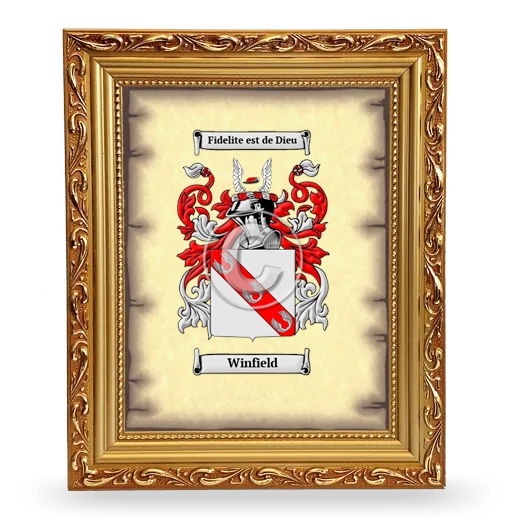 Winfield Coat of Arms Framed - Gold