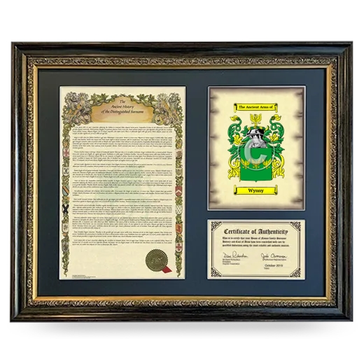 Wynny Framed Surname History and Coat of Arms- Heirloom