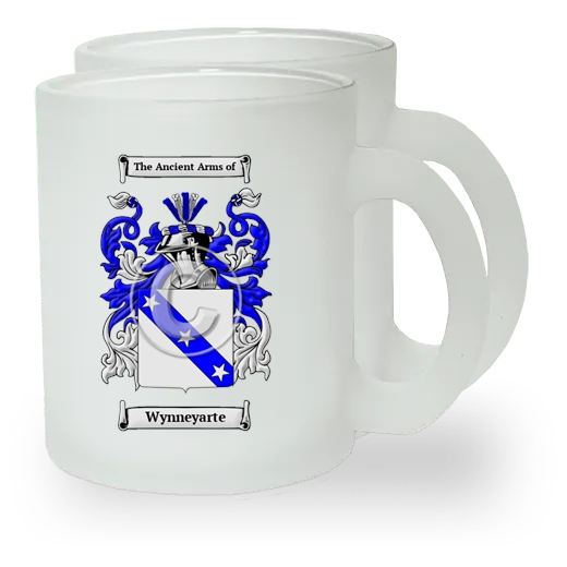 Wynneyarte Pair of Frosted Glass Mugs