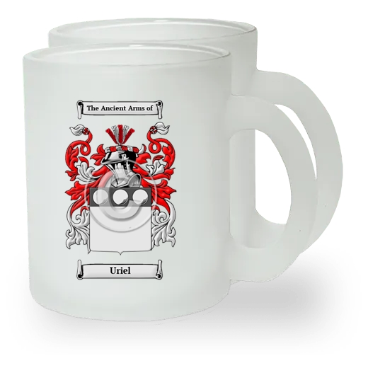 Uriel Pair of Frosted Glass Mugs