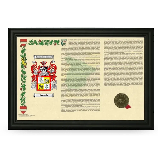 Aceveda Armorial Landscape Framed - Black