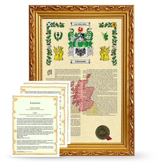 Achesombe Framed Armorial History and Symbolism - Gold