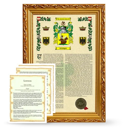 Attzinger Framed Armorial History and Symbolism - Gold