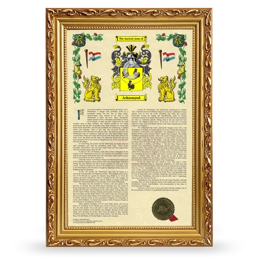 Ackarmynd Armorial History Framed - Gold