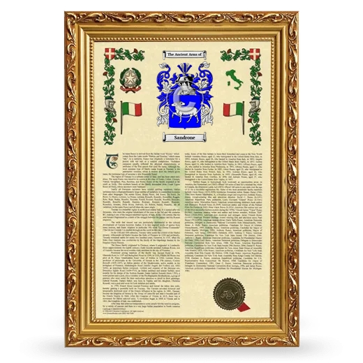 Sandrone Armorial History Framed - Gold