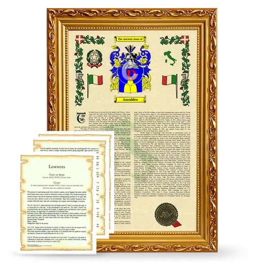 Amoddeo Framed Armorial History and Symbolism - Gold