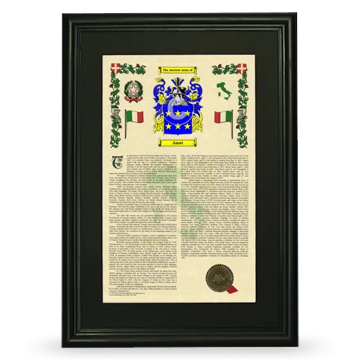 Amat Deluxe Armorial Framed - Black