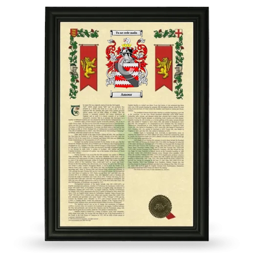 Amour Armorial History Framed - Black