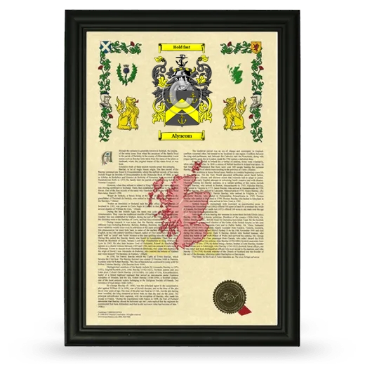 Alyncom Armorial History Framed - Black