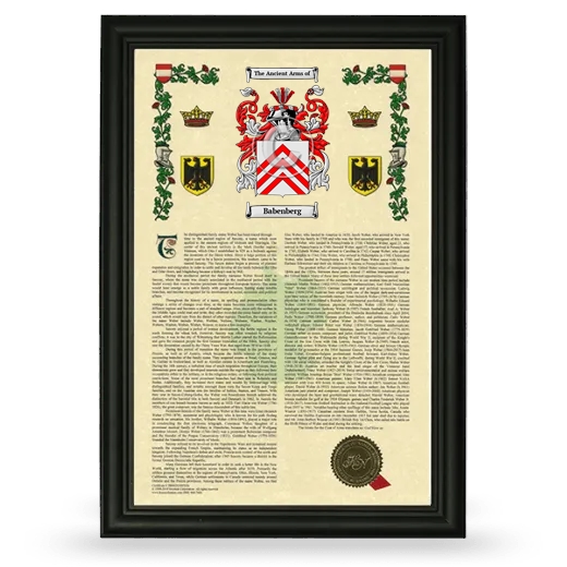 Babenberg Armorial History Framed - Black