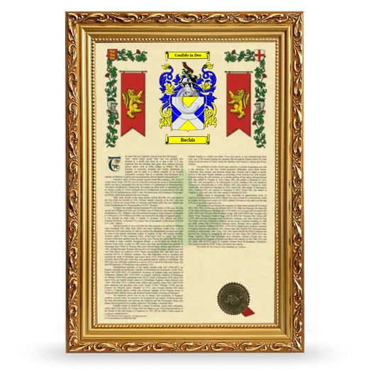 Bachis Armorial History Framed - Gold