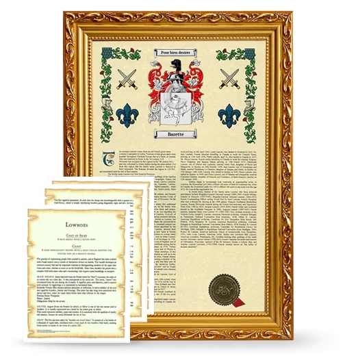 Barette Framed Armorial History and Symbolism - Gold