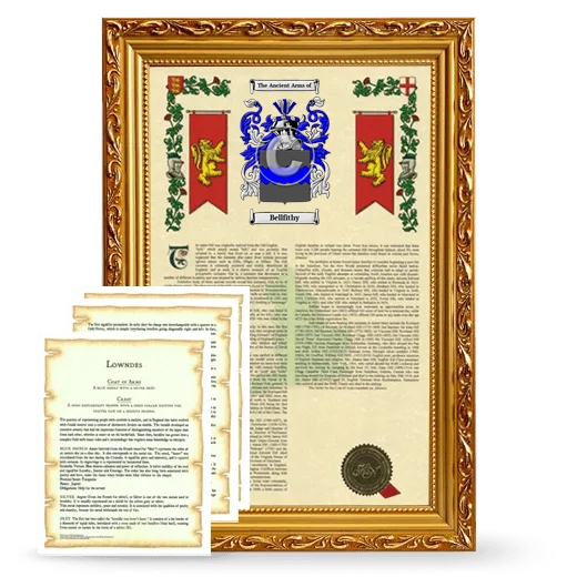 Bellfithy Framed Armorial History and Symbolism - Gold