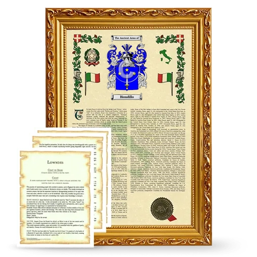 Biondillo Framed Armorial History and Symbolism - Gold