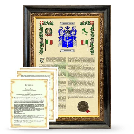 Biondillo Framed Armorial History and Symbolism - Heirloom