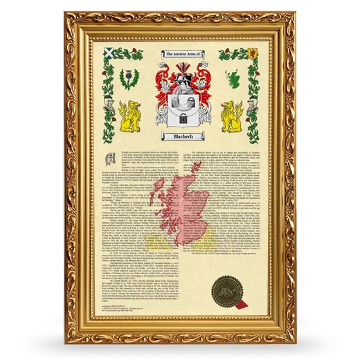 Blachech Armorial History Framed - Gold