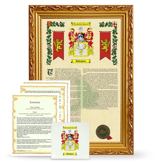 Blakeghan Framed Armorial, Symbolism and Large Tile - Gold