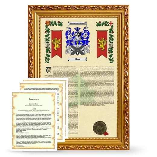 Blays Framed Armorial History and Symbolism - Gold