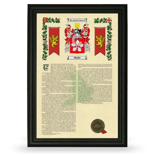 Blynke Armorial History Framed - Black