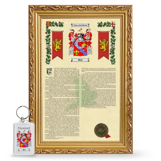 Blish Framed Armorial History and Keychain - Gold