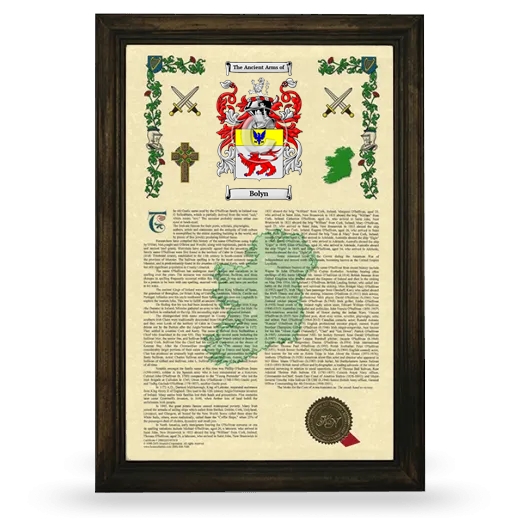 Bolyn Armorial History Framed - Brown