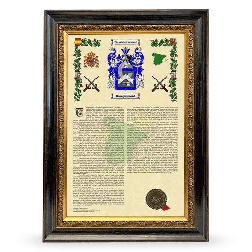 Bracquemont Armorial History Framed - Heirloom