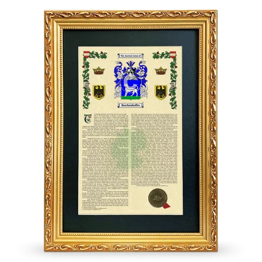 Brachenhoffer Deluxe Armorial Framed - Gold