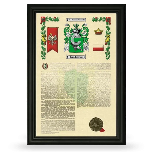 Brzudhowski Armorial History Framed - Black