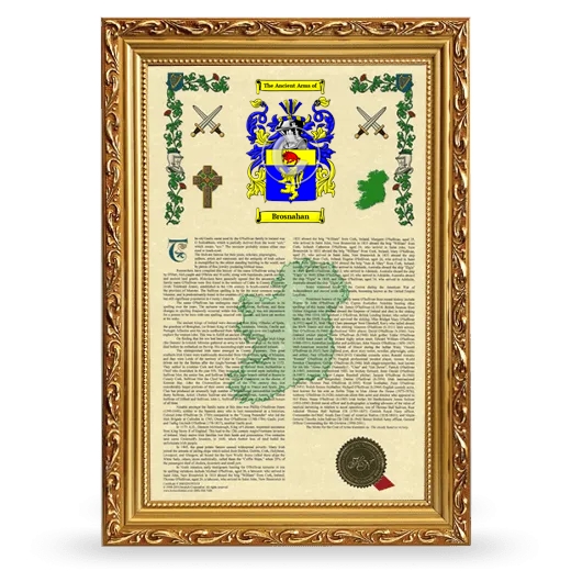 Brosnahan Armorial History Framed - Gold