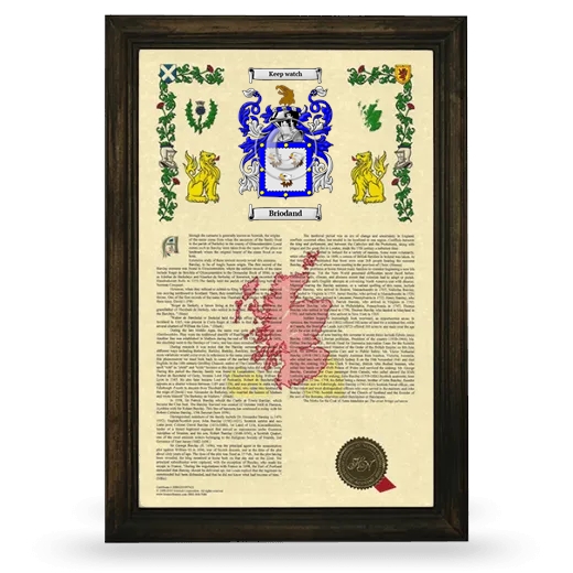 Briodand Armorial History Framed - Brown