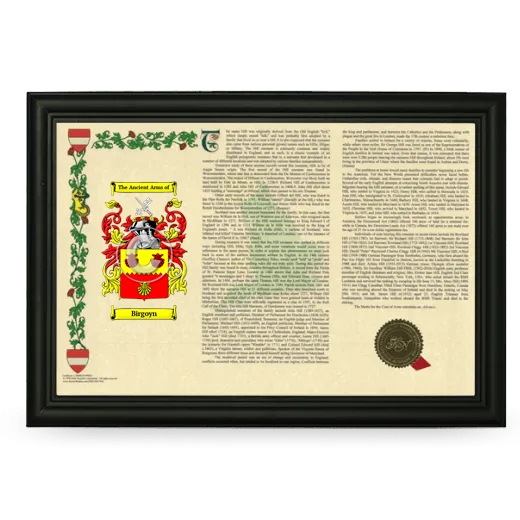 Birgoyn Armorial Landscape Framed - Black