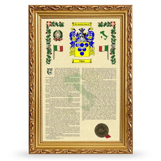 Cipro Armorial History Framed - Gold