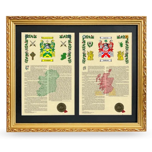 Double Armorial History Framed - Gold