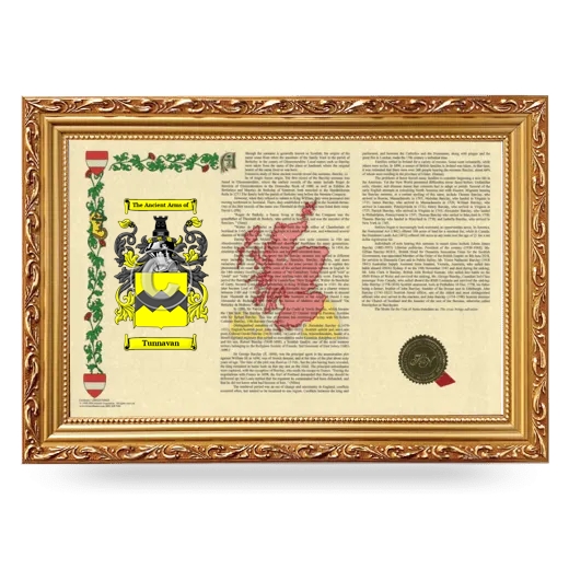 Tunnavan Armorial Landscape Framed - Gold