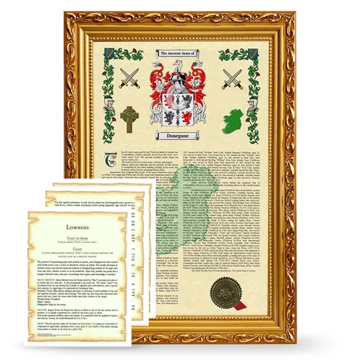 Donegane Framed Armorial History and Symbolism - Gold