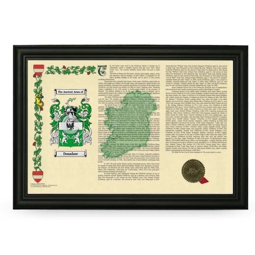 Donahue Armorial Landscape Framed - Black