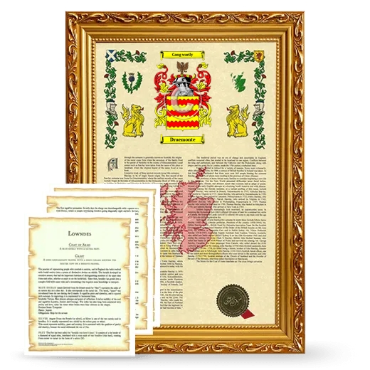 Druemonte Framed Armorial History and Symbolism - Gold