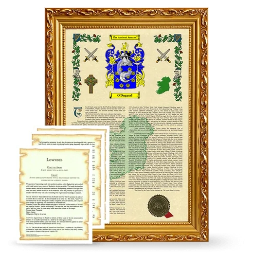 O'Dugynd Framed Armorial History and Symbolism - Gold