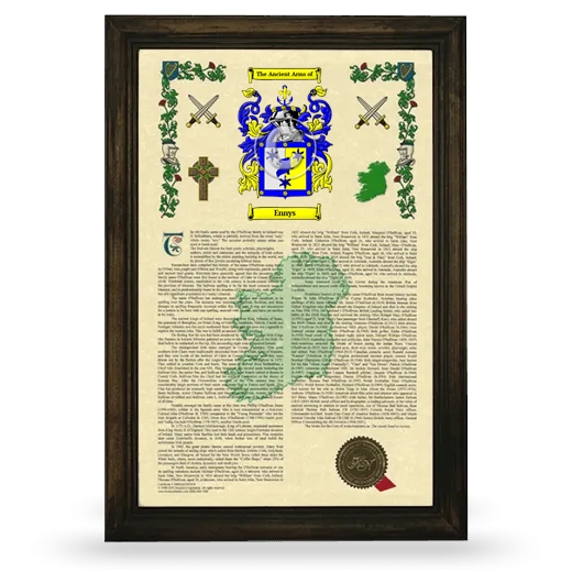 Ennys Armorial History Framed - Brown