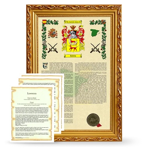 Esteva Framed Armorial History and Symbolism - Gold