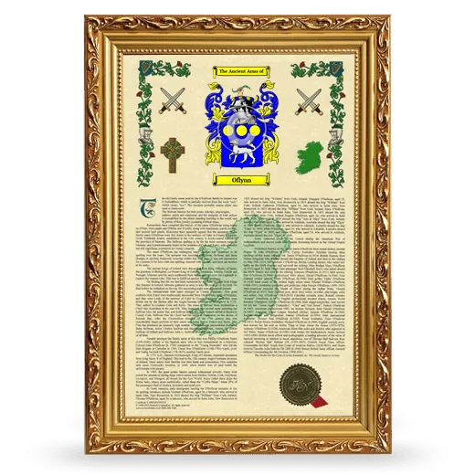 Oflynn Armorial History Framed - Gold